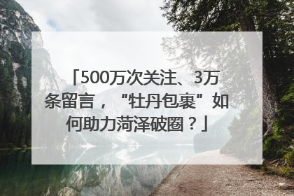 500万次关注、3万条留言，“牡丹包裹”如何助力菏泽破圈？