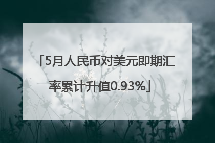 5月人民币对美元即期汇率累计升值0.93%