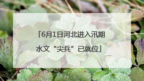 6月1日河北进入汛期 水文“尖兵”已就位