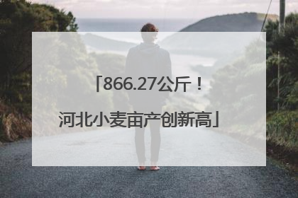 866.27公斤！河北小麦亩产创新高