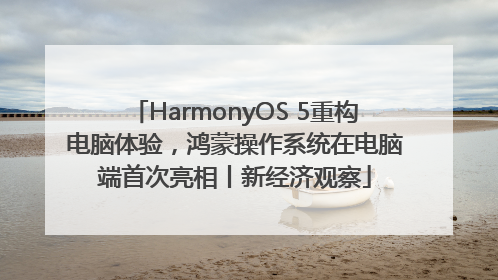 HarmonyOS 5重构电脑体验，鸿蒙操作系统在电脑端首次亮相丨新经济观察
