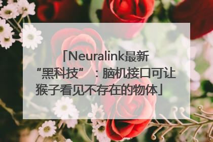 Neuralink最新“黑科技”：脑机接口可让猴子看见不存在的物体